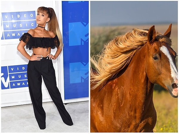 7. Ариана Гранде и очень длинная грива лошади