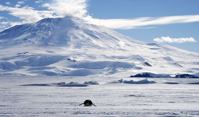 2. The Sahara Desert is not the largest desert on the earth. The largest desert is Antarctica, as the definition of desert includes the places that are dry and impossible to inhabit.