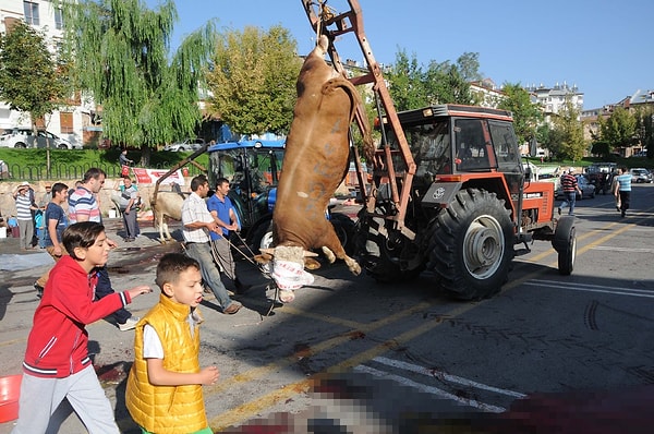 Ve yurdun dört bir yanından fotoğraflar....