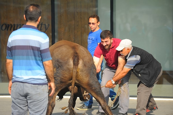 Erzurum'da ise bir kişi kurban keserken kalp krizi geçirdi ve hayatını kaybetti