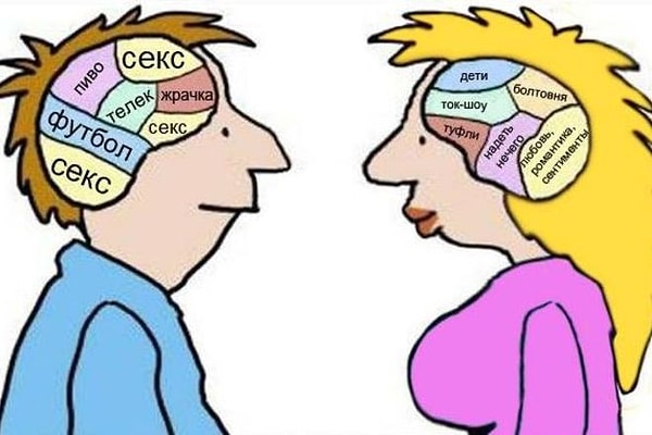 8. Мужской мозг больше женского