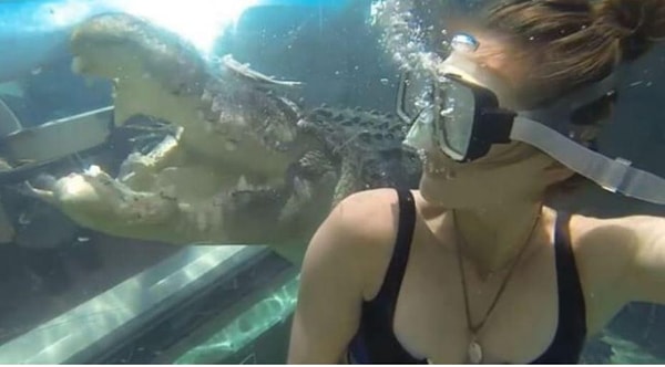 6. Он даже выглядел немного голодным, всякий раз щелкая зубами возле Фанни. Жуть какая!