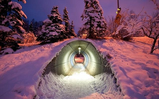 5. A tunnel for animals under the highway, Finland