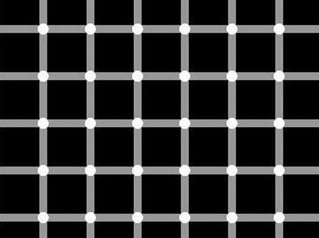 5. Read this question carefully: Do you see the black dots at the intersections of the white lines?