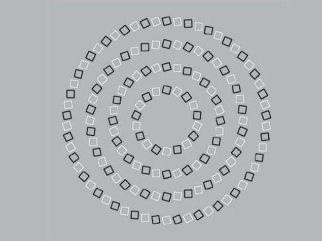 7. Do you think this visual is a spiral or perfectly round, concentric circles?