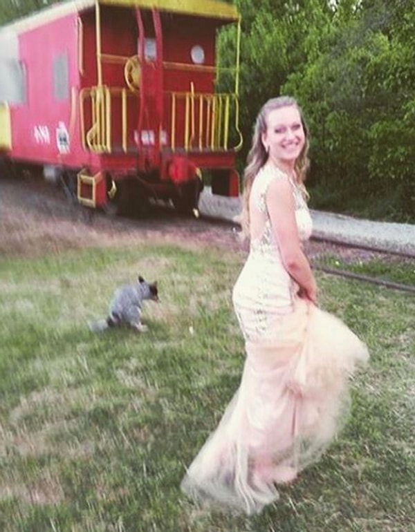 Фото на заднем дворе в реальной жизни