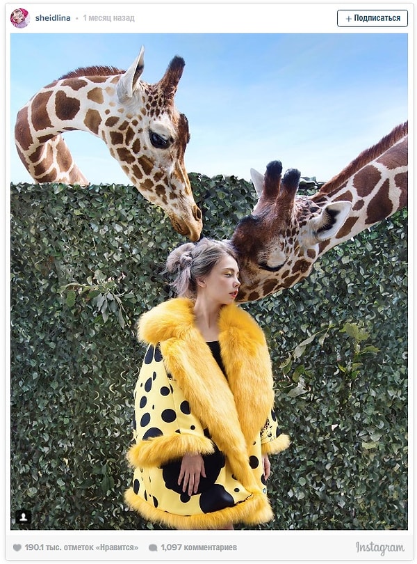 4. Зов природы