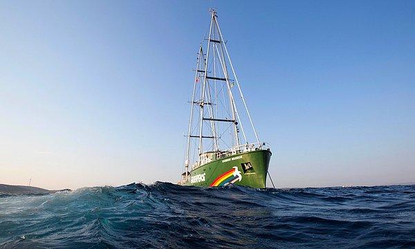 Rainbow yelkenli bir gemi ve tüm yıl boyunca yaptığı yolculuklarının yüzde 80’inini rüzgarı önüne katarak yapıyor
