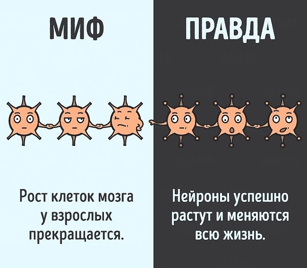 2. Может даже вы были умнее в 3 года 😂