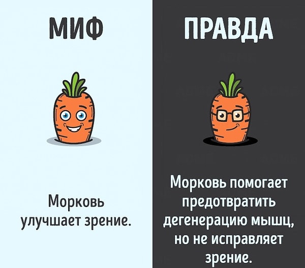 10. Хотите морковки? 👀