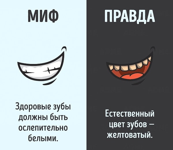 11. Дважды в день по 2 минуты 😁