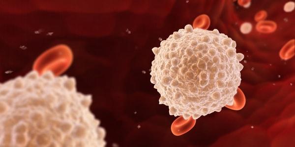 19. Beyaz kan hücrelerimiz, kanımızın yalnızca %1'lik kısmını oluşturmaktadır.