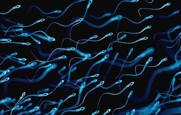 Most of the evidence shows that cellphone radiation decreases sperm mobility and longevity.