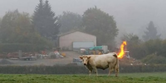 18 фото, которые сломают твой мозг: опять показалось!