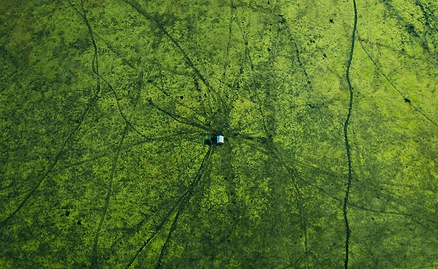 10.