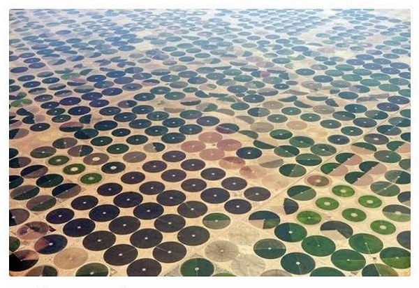 3. Фермерские поля, Саудовская Аравия