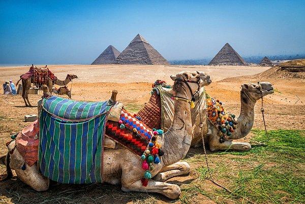 14. Gize Piramitleri'nin yanında deve yolculuğu yapın.