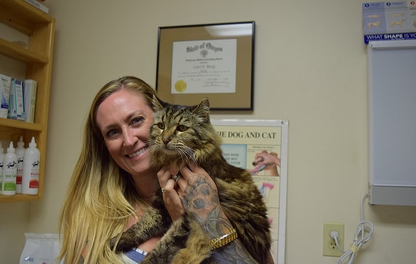 Поздравляем, это правильный ответ! 😊👏