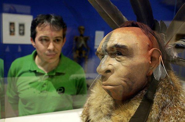 Neandertallerin sadece basit kazıma aletleri vardı ve buzul çağına uygun giysiler üretemediler