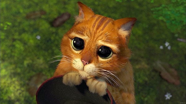 4. Что нужно сделать, чтобы люди выполнили вашу просьбу?