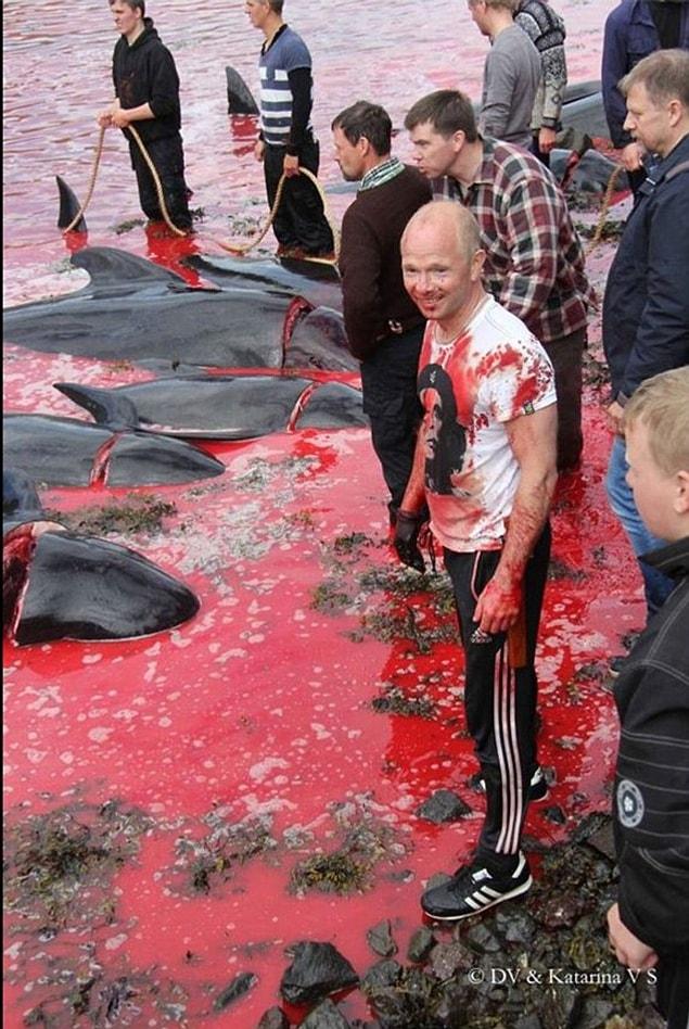 The participants brutally slaughtered dozens of whales.
