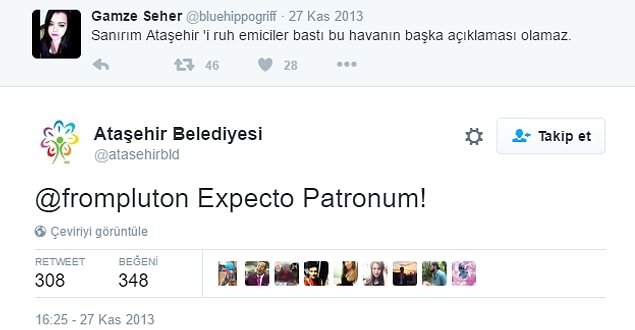 10. Harry Potter'ı da en iyi onlar bilir...