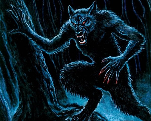 12. С 1520 по 1630 год более 30,000 людей были обвинены в том, что они оборотни