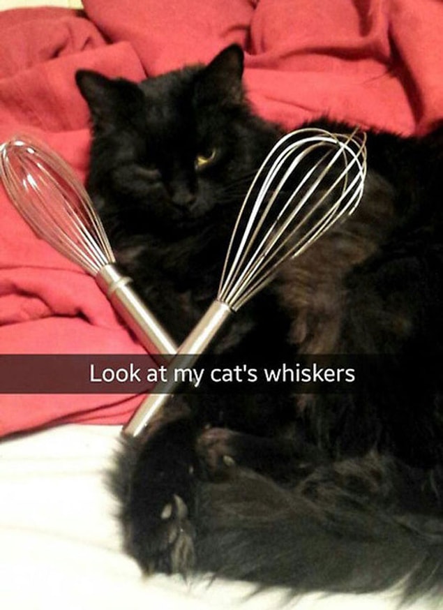 23.
