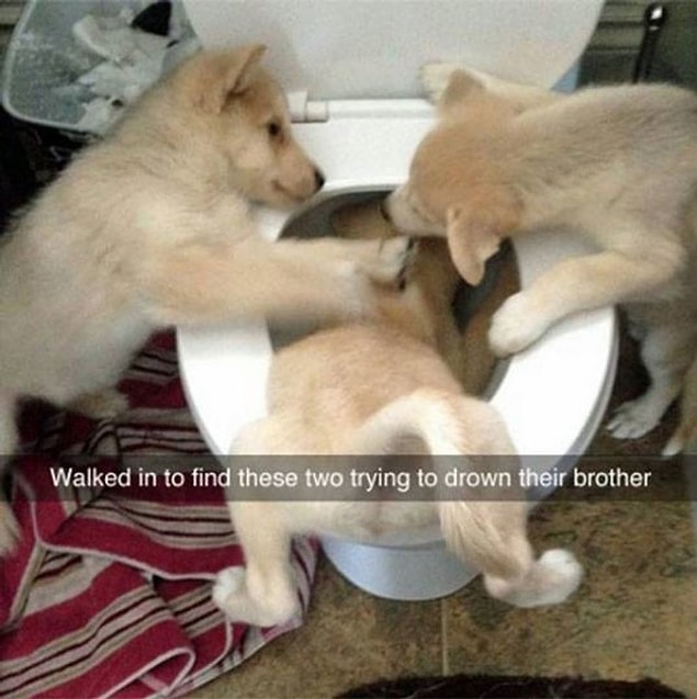 4.