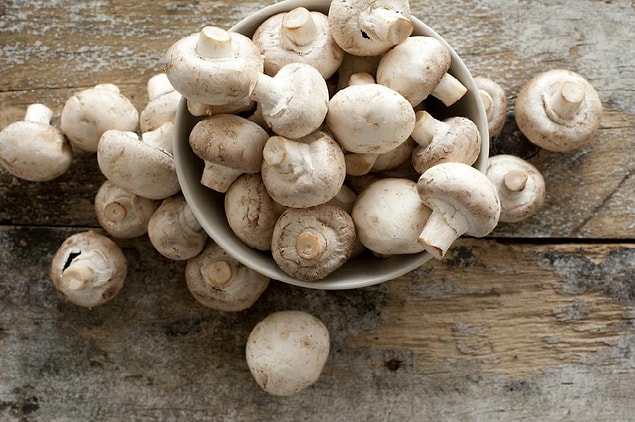 1. Cultivated mushrooms