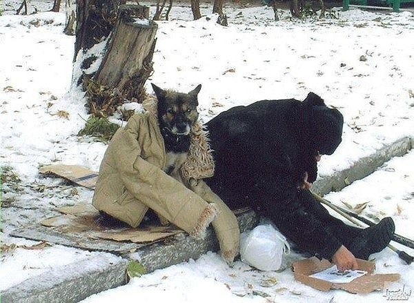 7. Они оба нуждаются в помощи