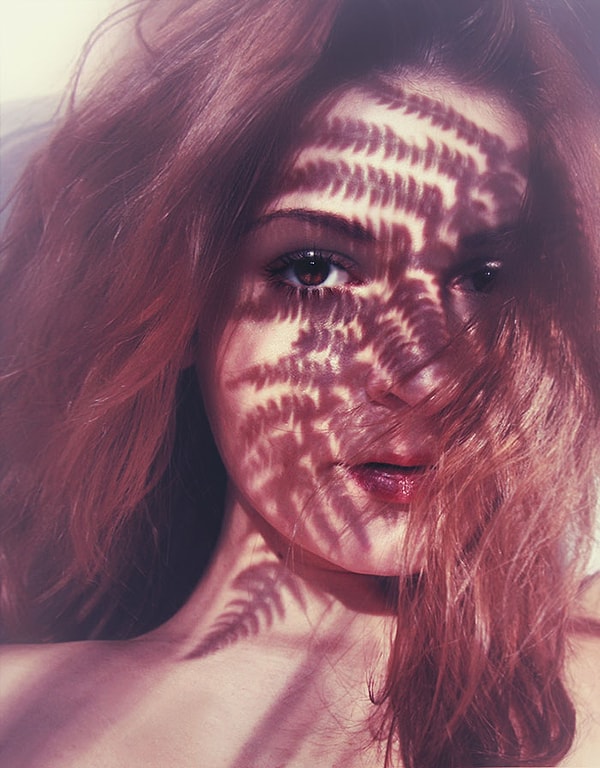 12. Папоротник