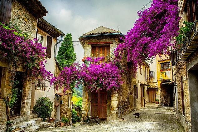 19. Go to the impossibly stunning Provence