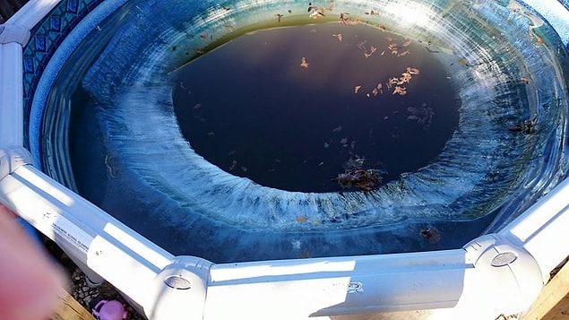 18. A frozen pool.