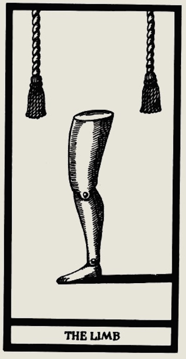 2. “The Limb”
