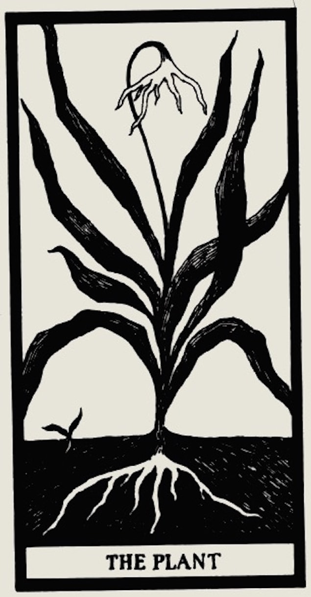 7. “The Plant”