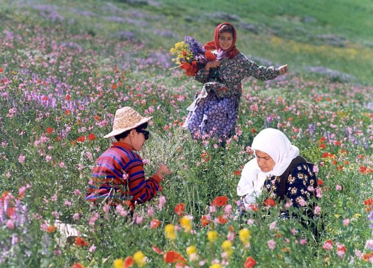 40 Of The Greatest Iranian Movies You Should See - Onedio
