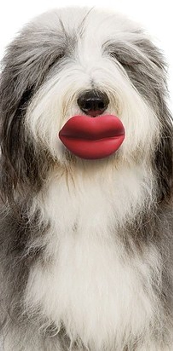 4. Игрушка для собаки "Губы"