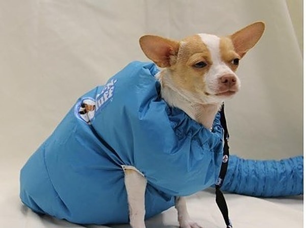 5. Надувная сушилка для собак