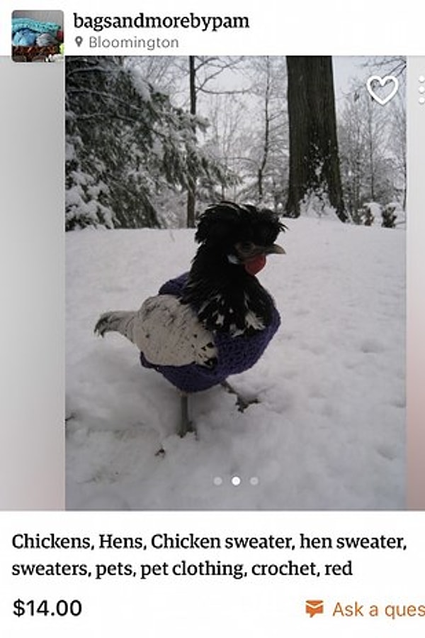 9. Свитер для куриц