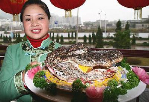 1. Голова аллигатора