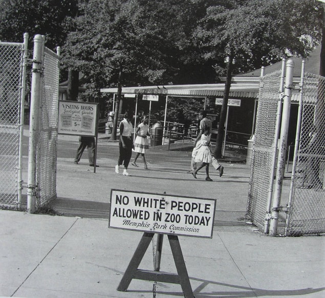 12. Haftanın sadece bir günü siyahi insanların ziyaretlerine açık olan Memphis Hayvanat Bahçesi'nin önüne koyulmuş beyaz insanların o gün giremeyeceğini belirten tabela, 1959.