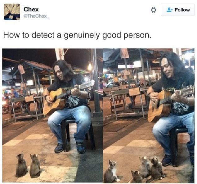 1. This guy who is playing guitar to these kittens...