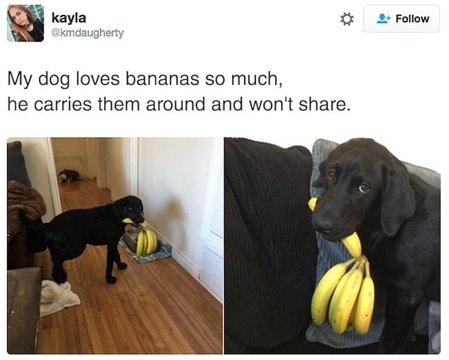 3. Just an ordinary day with me and my bananas