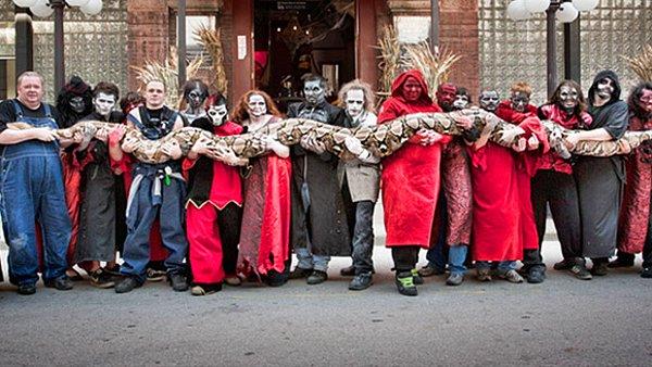 Yakalanan en uzun yılan için Guinness Dünya Rekoru Kansas City'de bulunan 7.67 metrelik Medusa'ya ait.