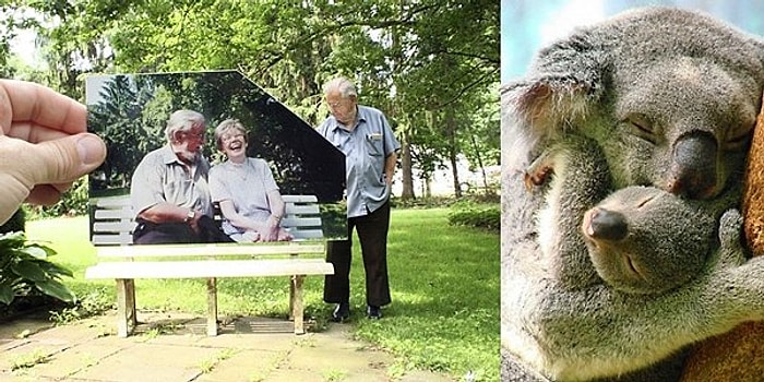 İlk Görüşte Yüreğinize Dokunup Yeni Haftaya Daha İyi Başlamanızı Sağlayacak 22 Fotoğraf