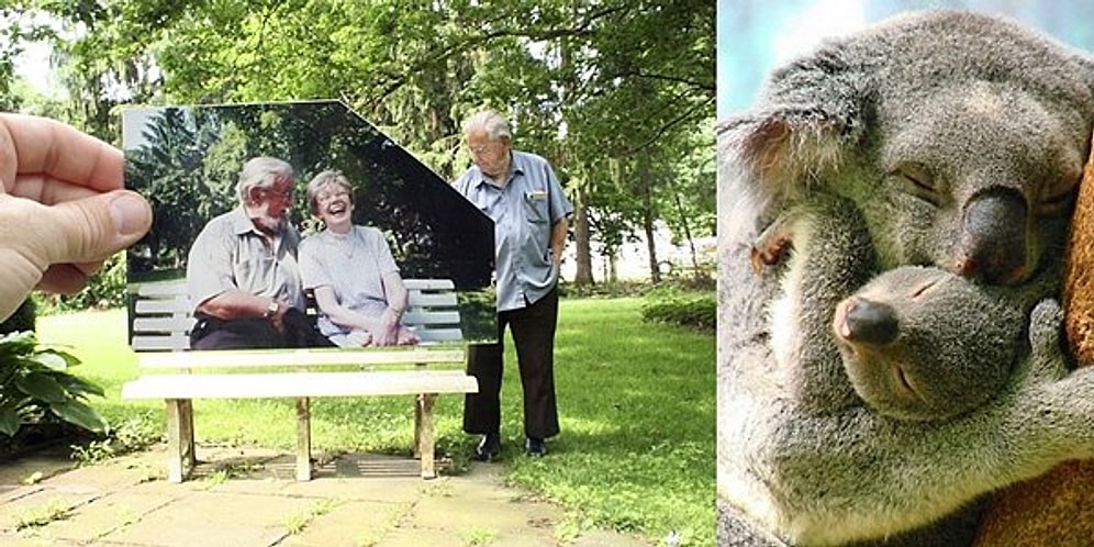 İlk Görüşte Yüreğinize Dokunup Yeni Haftaya Daha İyi Başlamanızı Sağlayacak 22 Fotoğraf