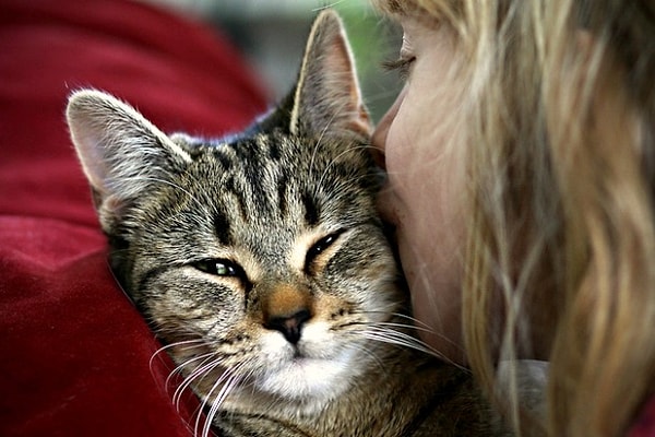 3. Потискайтесь с домашним любимцем