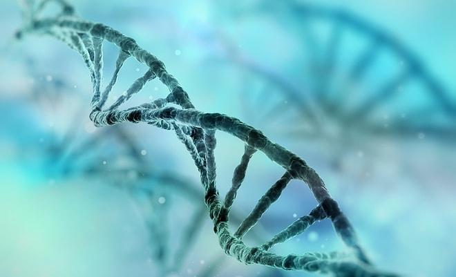 Bilim İnsanları Açıkladı: 6. His Aslında Mutasyonlu Bir Gen!