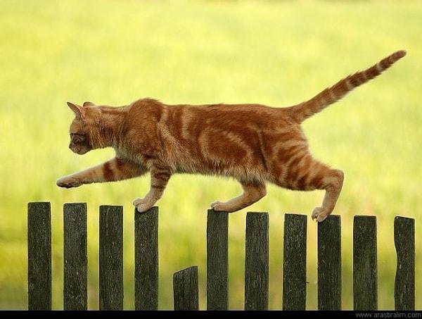 Поздравляем, ты достаточно внимательный человек!